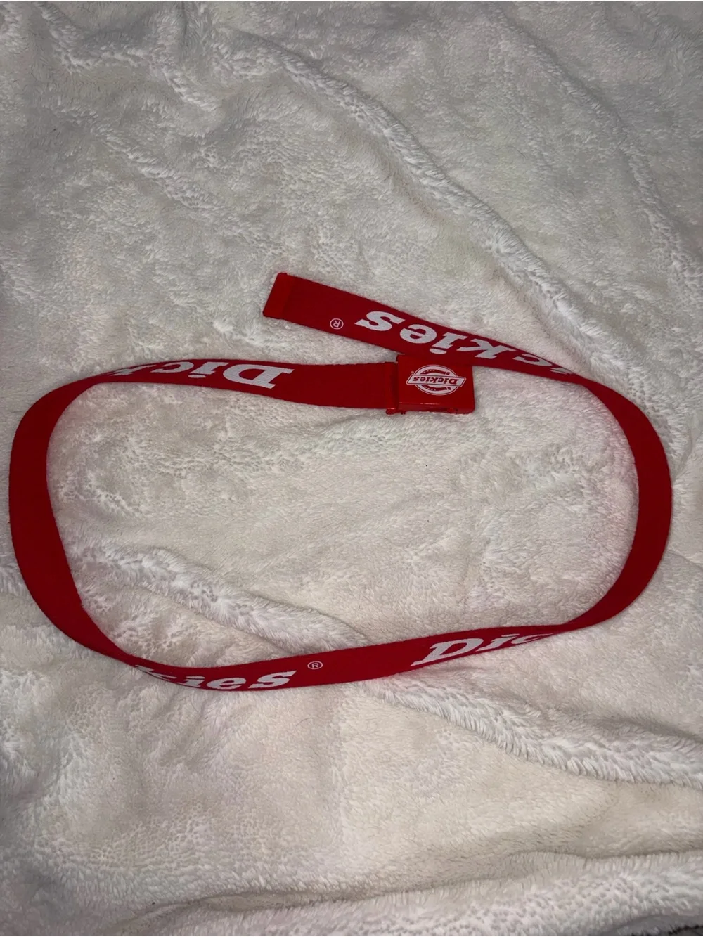 Dickies bright belt